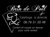 Brin de poil
