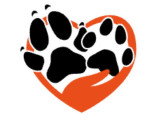Pattes & Pat