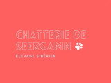 De Seergamn