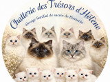 Des Trésors d'Hélène