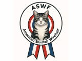 American Shorthair et Wirehair de France (ASWF)