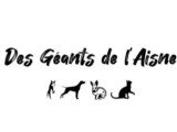 Des Géants de l'Aisne