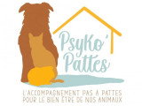 Psyko'Pattes