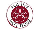 Positive Patt'itude