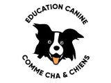 Comme Cha & Chiens