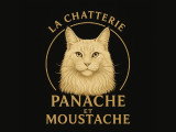 Panache & Moustache