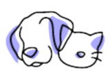 Catnidélia