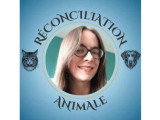 Réconciliation Animale