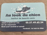 Au look du chien