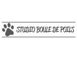 Studio Boule de Poils