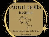 Atout poils 