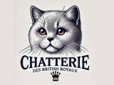 Des British Royaux