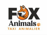Fox Animals
