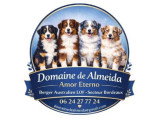 Domaine de Almeida Amor Eterno