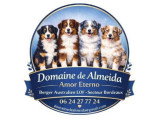 Domaine de Almeida Amor Eterno
