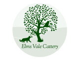 Elms Vale Cattery