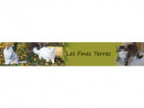Les Fines Terres