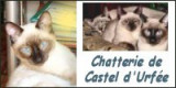 Chatterie de Castel d'Urphée