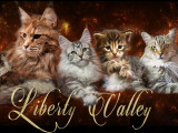 Liberty Valley