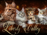 Liberty Valley