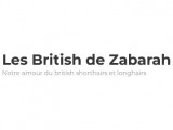 Les british de Zabarah
