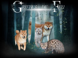Des Griffes De Feu