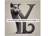 Chatterie des bleus d'Yttrium