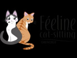 Féeline cat-sitting