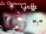 Chatterie Griffe