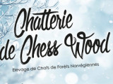 Chatterie de Chess Wood