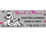 Gueule d'amour