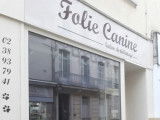 Folie Canine