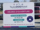 Tsuko Dog Motel