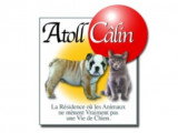 Atoll Câlin - Comme à la Maison