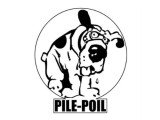 Pile poil