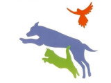 Var animal services