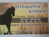 Ostéopathe animalier