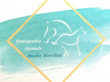 ostéopathe animalier