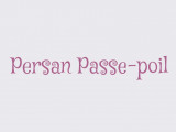 Persan Passe Poil