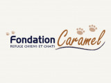 Fondation Caramel