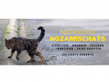 Nozamischats