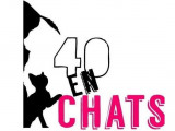 40 En Chats