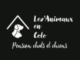 Lez Animaux en Colo