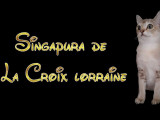 La Croix Lorraine