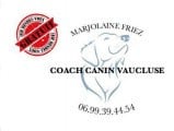 Coach Canin Vaucluse