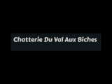 Chatterie Du Val Aux Biches