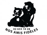 Nos amis fidèles