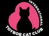 International Toybob Cat Club (ITCC)