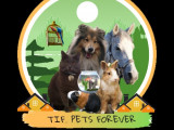 Tif. pets Forever