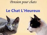 Le Chat l'Heureux